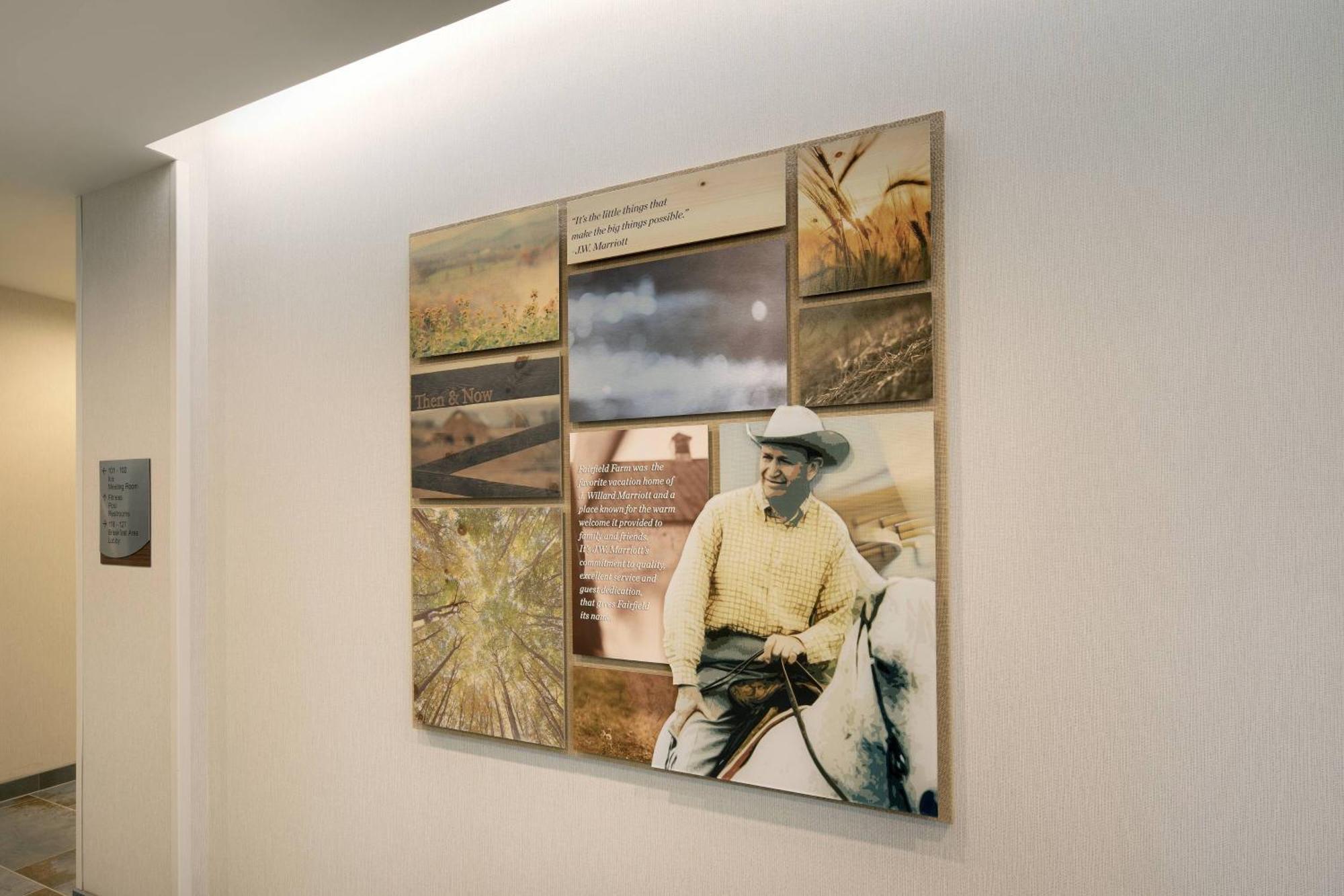 Fairfield Inn & Suites By Marriott Tampa Wesley Chapel Exteriér fotografie